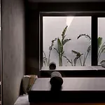 Archipelagos Elia (Mykonos)