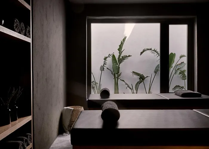 Archipelagos Ελιά